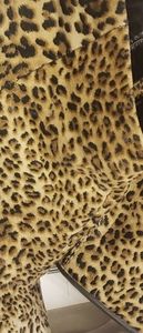 Express Leopard Ankle Boots